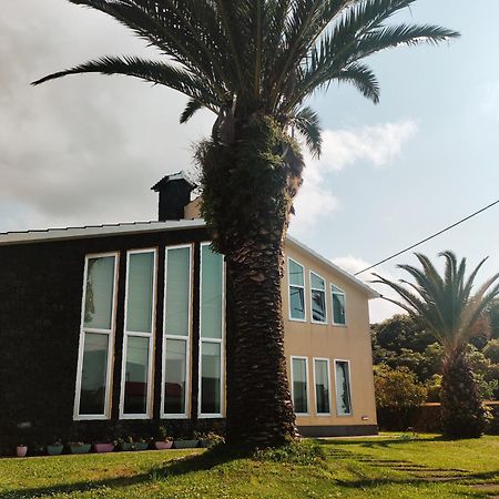 דירות Praia da Vitória Palmtree 37 Al מראה חיצוני תמונה