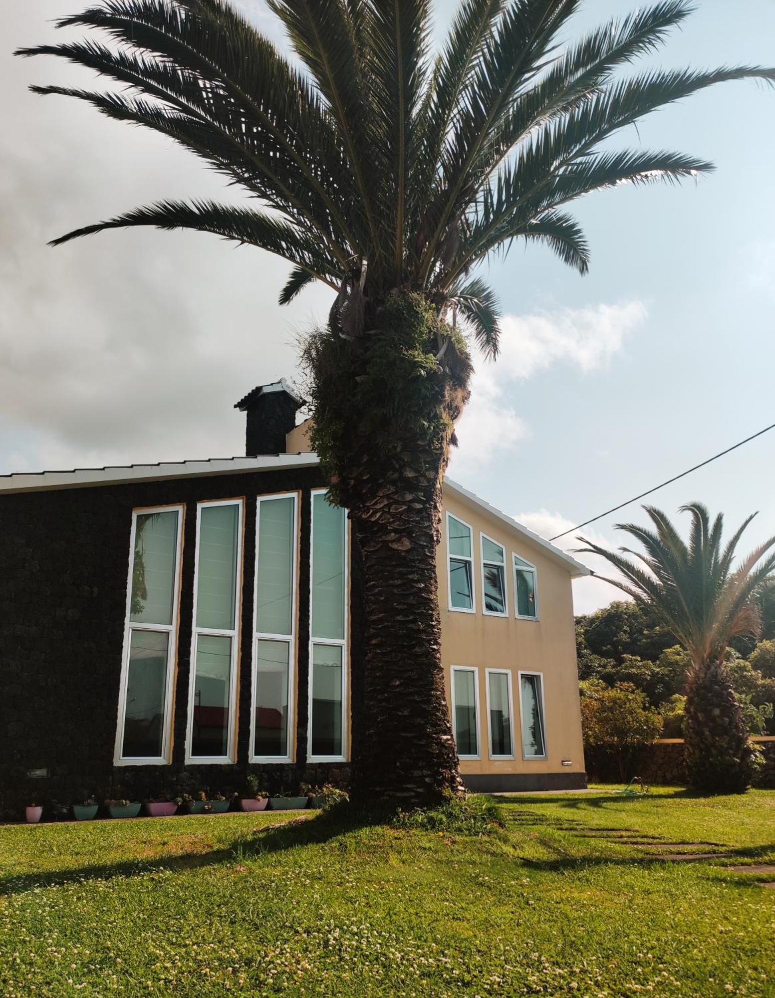 דירות Praia da Vitória Palmtree 37 Al מראה חיצוני תמונה
